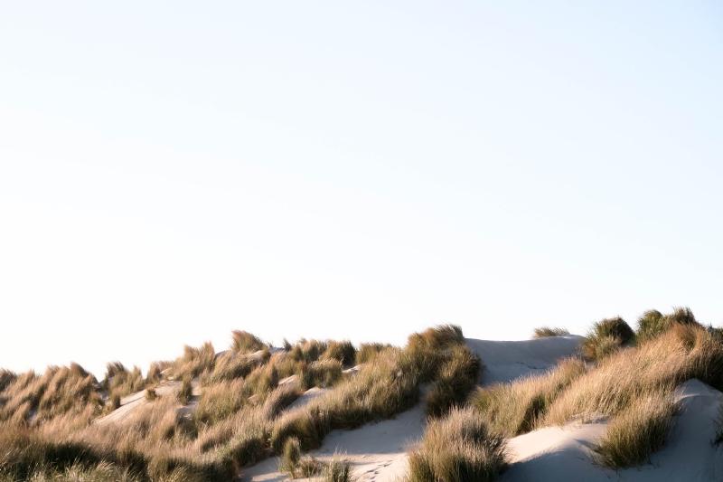 Featured image of post Maven使用总结